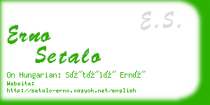 erno setalo business card
